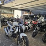 Suzuki Gladius 650 - Lucca Motosport Srl (2)