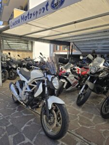Suzuki Gladius 650 - Lucca Motosport Srl (2)