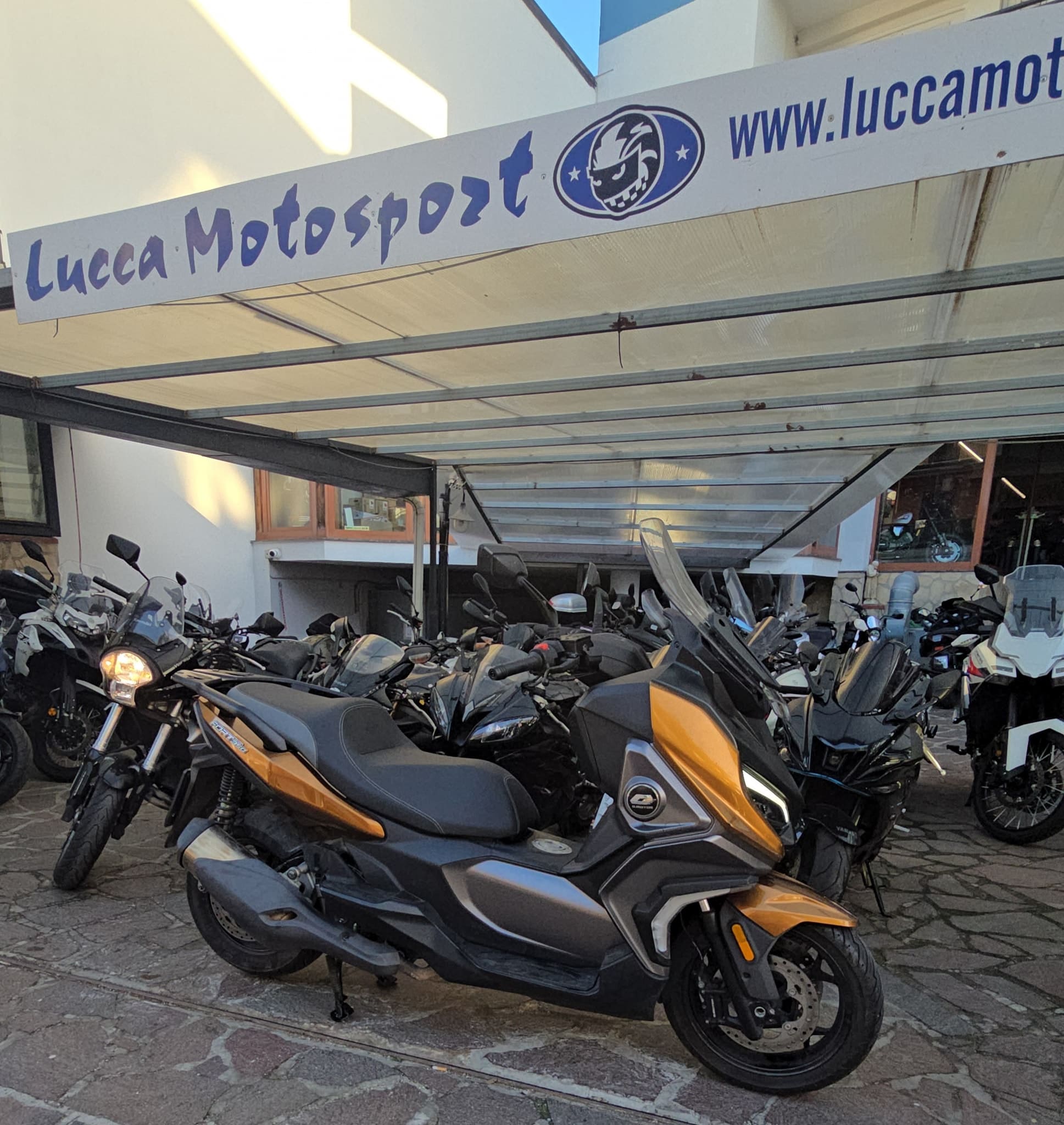 QJ Motor Fort 350 del 2023